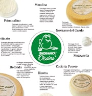 Cascine Orsine – progetto grafico di Francesco Camagna